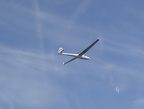 060603 HoHeim 42