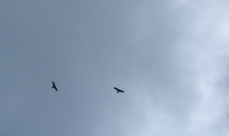 080621_510km_022.JPG