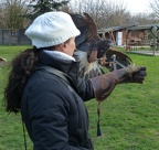 140216 Falkner 11