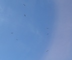 170729 198km 24