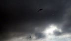 190914 420km-TZ91 055