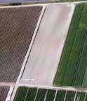220526 238km 48